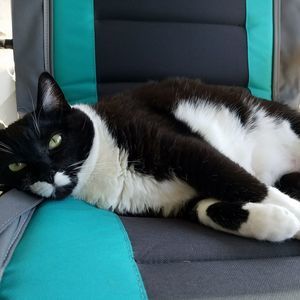 Meet your Posher, Jesse